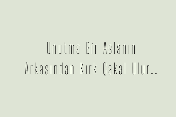 Ağır Dayı Sözleri